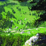 rozhaje-fshatrat