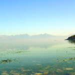 HPIM0812.JPG