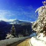 Rugova_me_bore