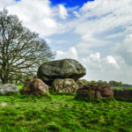 nature-branches-tree-stones