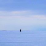 clouds-daytime-landscape-980394