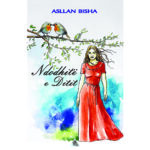Asllan Bisha – Ndodhite e Ditit – Ballina