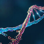 DNA Replication Hero