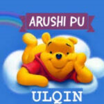 Arushi pu