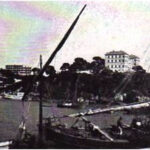 Picture7