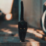 pexels-david-bartus-43782-1510543